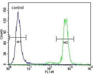 Flow cytometry testing of human HeLa cells with MAPK3 antibody; Blue=isotype control, Green= MAPK3 a