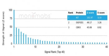 Analysis of a HuProt(TM) microarray containing more than 19,000 full-length human proteins using CD1