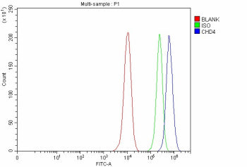 Flow Cytometry analysis of MCF-7 cells using anti-CHD4 antibody. Overlay histogram showing MCF-7 cel