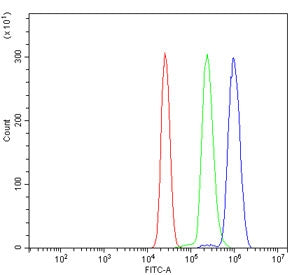 Flow cytometry testing of human U937 cells with D-amino-acid oxidase antibody at 1ug/million cells (