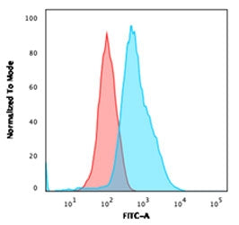 Flow testing of fixed and permeabilized human HeLa cells with Annexin A1 antibody (clone ANXA1/1672)