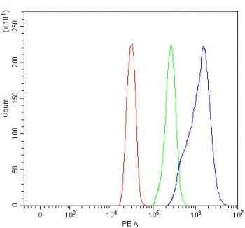 OLFML2B Antibody / Olfactomedin-like protein 2B