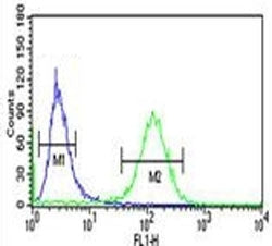 RAB27B antibody flow cytometric analysis of NCI-H460 cells (green) compared to a negative control (b