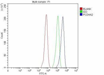 Flow Cytometry analysis of Hela cells using anti-PCDHA2 antibody. Overlay histogram showing human He