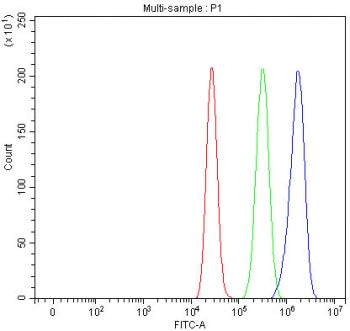 Flow cytometry testing of fixed and permeabilized human MCF7 cells with PCDHA6 antibody at 1ug/milli