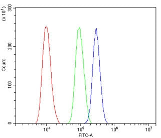 Flow cytometry testing of human SiHa cells with CHD2 antibody at 1ug/million cells (blocked with goa