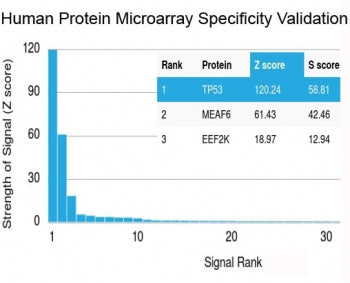Analysis of HuProt(TM) microarray containing more than 19,000 full-length human proteins using recom