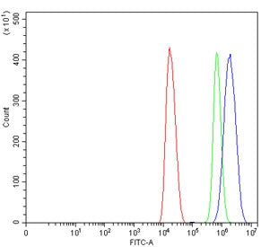 Flow cytometry testing of mouse HEPA1-6 cells with METTL3 antibody at 1ug/million cells (blocked wit