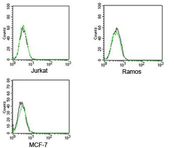 FACS testing of Rabbit IgG isotype control antibody FITC conjugate on human samples. Black=cells alo
