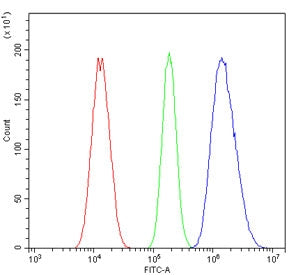 Flow cytometry testing of human A549 cells with MBD1 antibody at 1ug/million cells (blocked with goa