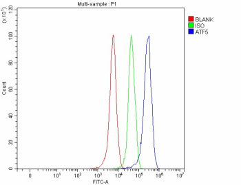 Flow Cytometry analysis of 293T cells using anti-ATF5 antibody. Overlay histogram showing 293T cells