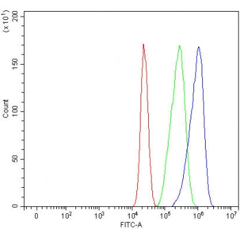 Flow cytometry testing of fixed and permeabilized human MCF7 cells with Myosin IB antibody at 1ug/mi