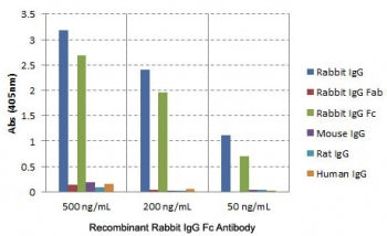 ELISA of IgGs from different species shows the recombinant Rabbit IgG Fc antibody reacts to the Fc r