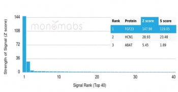 Analysis of a HuProt(TM) microarray containing more than 19,000 full-length human proteins using FGF