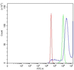 ZBTB48 Antibody / TZAP / HKR3