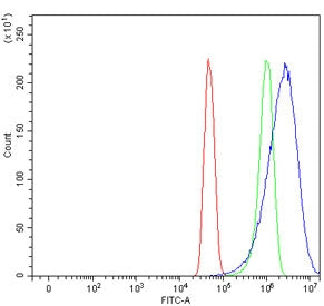 Flow cytometry testing of human U-251 cells with Caspase-8 antibody at 1ug/million cells (blocked wi