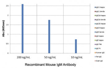 ELISA of mouse immunoglobulins shows the recombinant Mouse IgM antibody reacts to mIgM; no cross rea