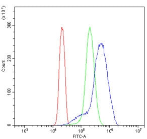 RBPJ Antibody / RBP-JK