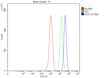 Flow Cytometry analysis of THP-1 cells using anti-HCK antibody. Overlay histogram showing THP-1 cell