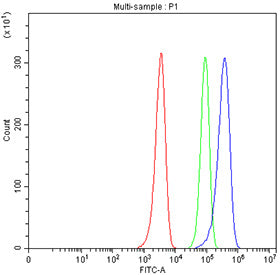 Flow cytometry testing of fixed human HEL cells with ICAM2 antibody at 1ug/million cells (blocked wi