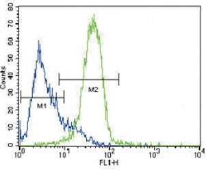 GATA4 antibody flow cytometric analysis of HepG2 cells (green) compared to a negative control (blue)