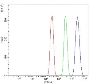 Flow cytometry testing of human SiHa cells with FOXN1 antibody at 1ug/million cells (blocked with go