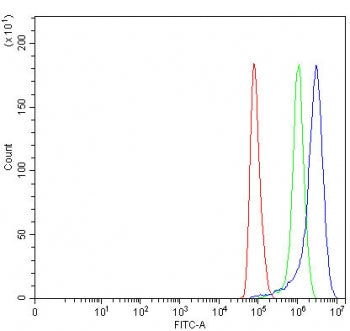 Flow cytometry testing of fixed and permeabilized human HeLa cells with Palmdelphin antibody at 1ug/