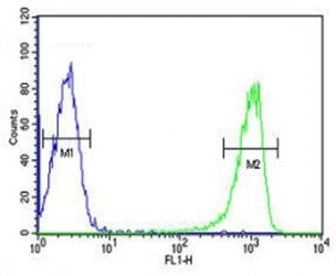 RANKL Antibody
