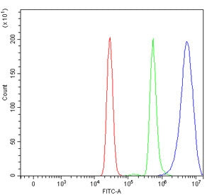 AUP1 Antibody / Ancient ubiquitous protein 1
