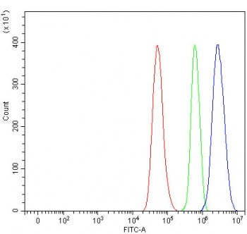Flow cytometry testing of fixed and permeabilized human HeLa cells with RXR alpha antibody at 1ug/mi