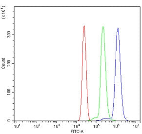 Flow cytometry testing of human U937 cells with CTSC antibody at 1ug/million cells (blocked with goat sera); Red=cells alone, Green=isotype control, Blue= CTSC antibody.