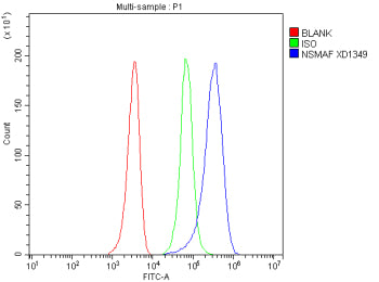 Flow Cytometry analysis of HEL cells using anti-NSMAF antibody. Overlay histogram showing HEL cells 