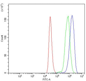 Flow cytometry testing of human ThP-1 cells with MYC antibody at 1ug/million cells (blocked with goa