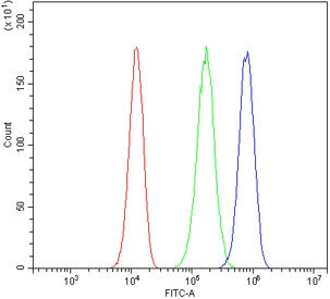 Flow cytometry testing of human 293T cells with Daxx antibody at 1ug/million cells (blocked with goa