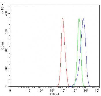 SLC35E4 Antibody