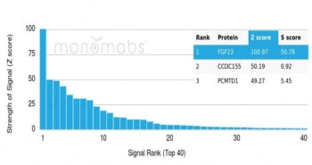 Analysis of a HuProt(TM) microarray containing more than 19,000 full-length human proteins using FGF