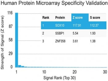 Protein array validation of the SOX-10 antibody: Analysis of HuProt(TM) microarray containing more t