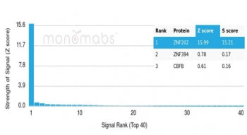 Analysis of a HuProt(TM) microarray containing more than 19,000 full-length human proteins using ZNF