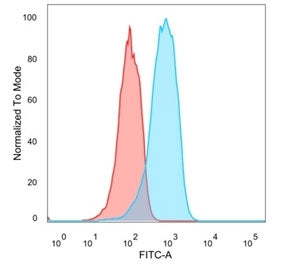 Estrogen Receptor beta 2 Antibody