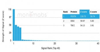 Analysis of a HuProt(TM) microarray containing more than 19,000 full-length human proteins using Per