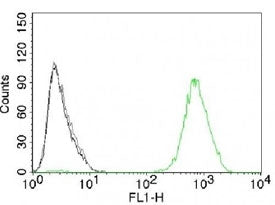 FACS testing of A431 cells with isotype control (gray), without primary antibody (black) and EGFR an