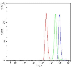 Flow cytometry testing of human ThP-1 cells with PALB2 antibody at 1ug/million cells (blocked with g