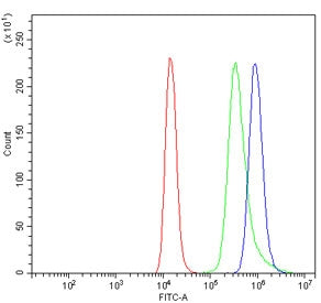 Flow cytometry testing of human Raji cells with Interleukin 37 antibody at 1ug/million cells (blocke