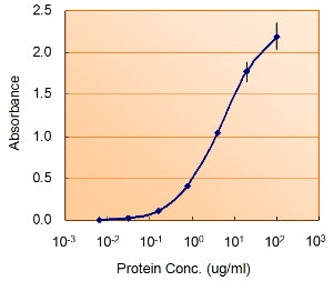NODAL Antibody