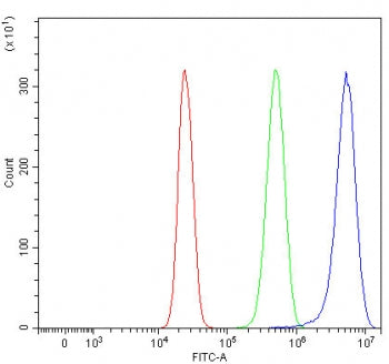 Girdin Antibody / CCDC88A / GIV