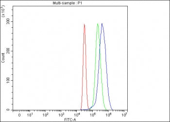Flow cytometry testing of fixed and permeabilized human HepG2 cells with Alpha 1B-Glycoprotein antib