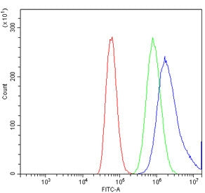 Flow cytometry testing of human A549 cells with TRPA1 antibody at 1ug/million cells (blocked with go