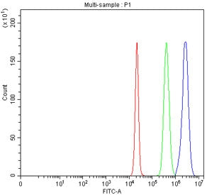 Flow cytometry testing of fixed human HepG2 cells with SLC26A9 antibody at 1ug/million cells (blocke