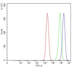 Flow cytometry testing of human Caco-2 cells with CTNND1 antibody at 1ug/million cells (blocked with