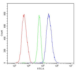 Flow cytometry testing of human HL-60 cells with RIO Kinase 1 antibody at 1ug/million cells (blocked